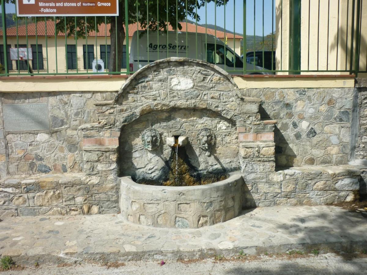 Guesthouse Zografia Vrasná Exteriér fotografie
